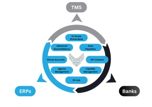 Fennech Optimises ERP and Finance Integration for Better Management